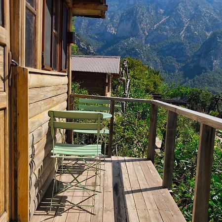Olive Garden Kabak Hotell Faralya Eksteriør bilde