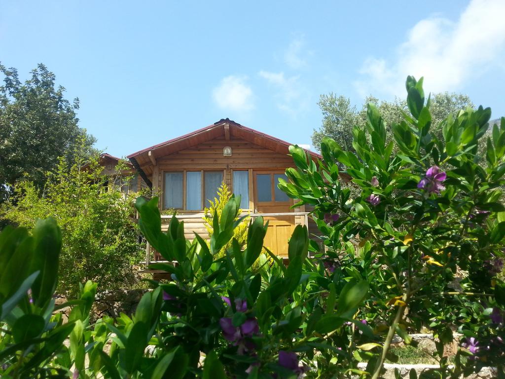 Olive Garden Kabak Hotell Faralya Eksteriør bilde