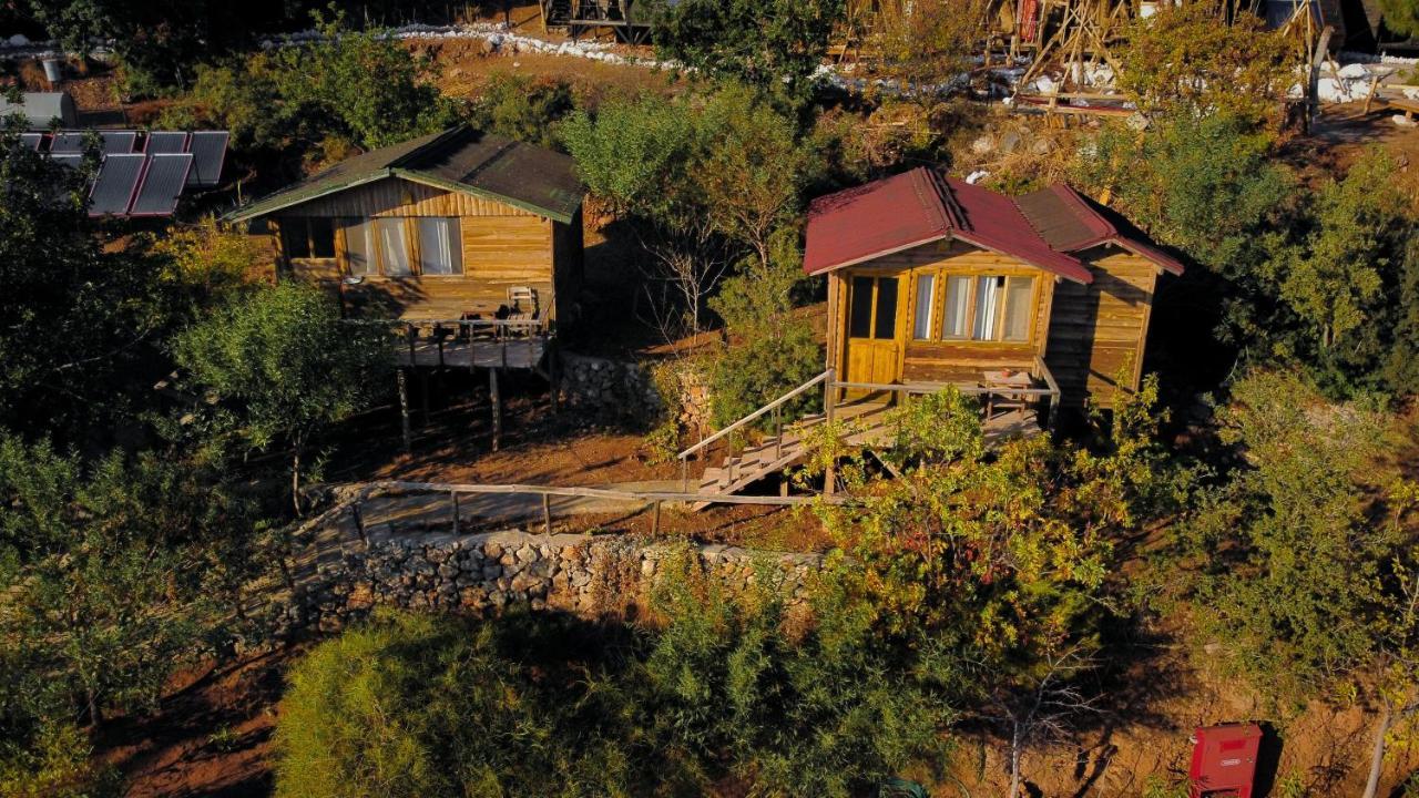 Olive Garden Kabak Hotell Faralya Eksteriør bilde
