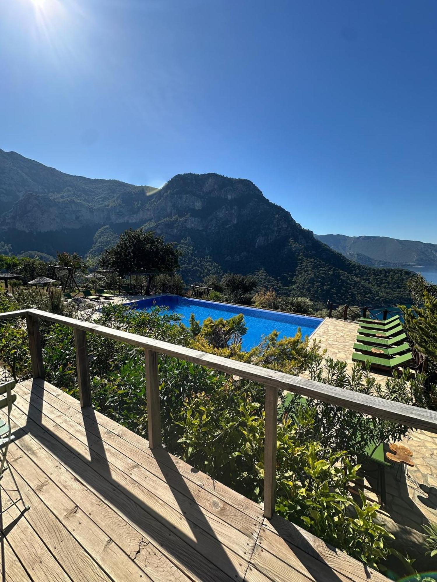 Olive Garden Kabak Hotell Faralya Eksteriør bilde