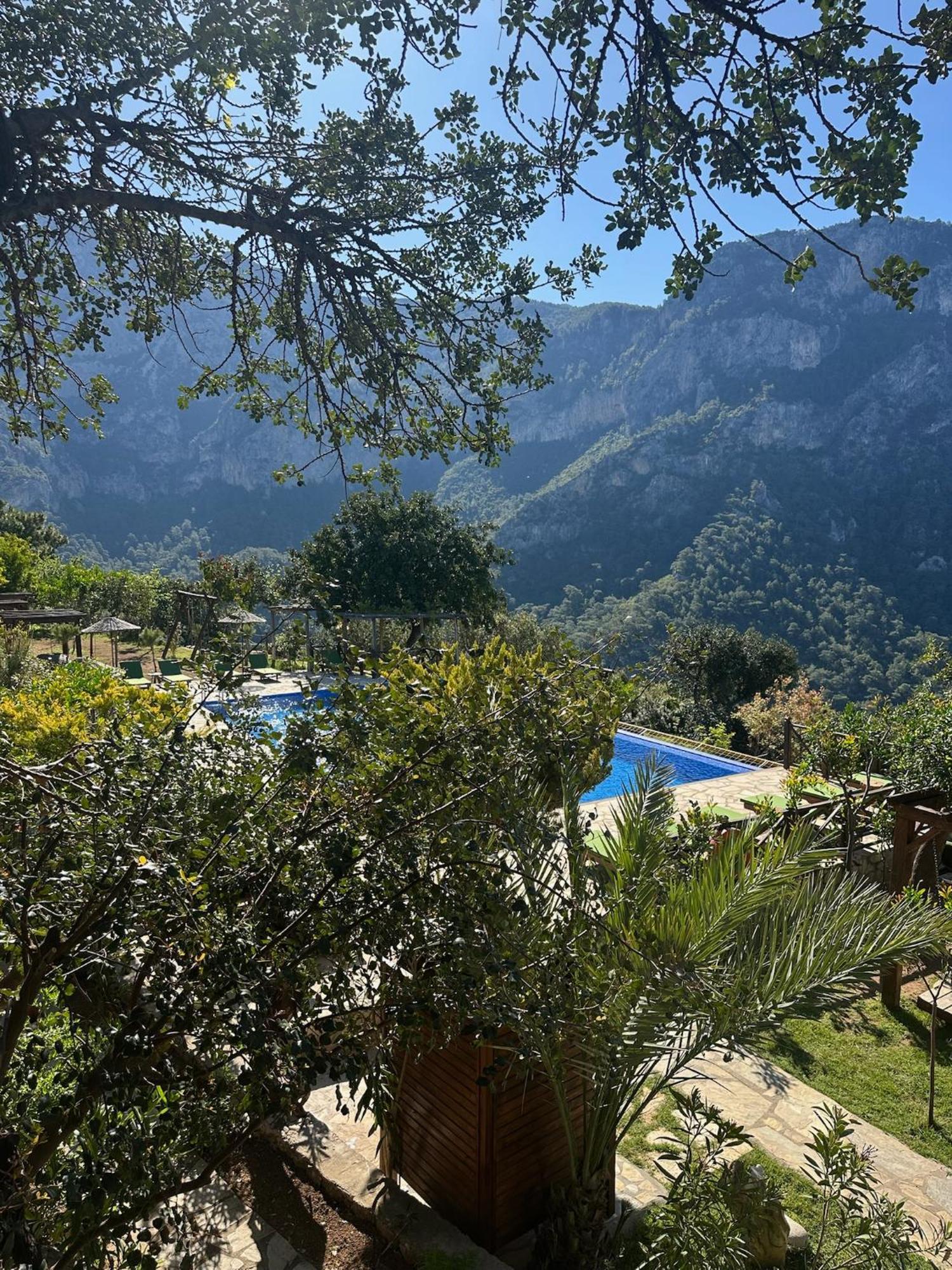 Olive Garden Kabak Hotell Faralya Eksteriør bilde