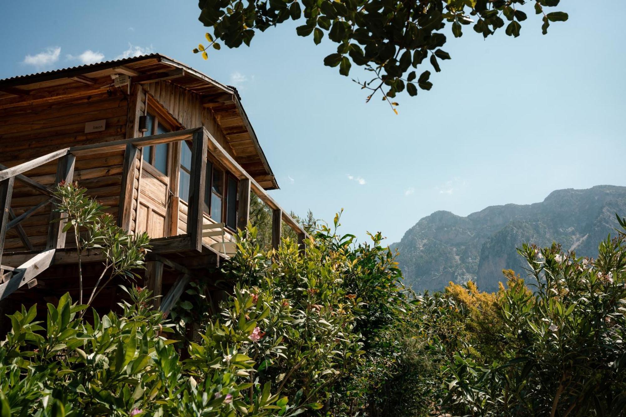 Olive Garden Kabak Hotell Faralya Eksteriør bilde