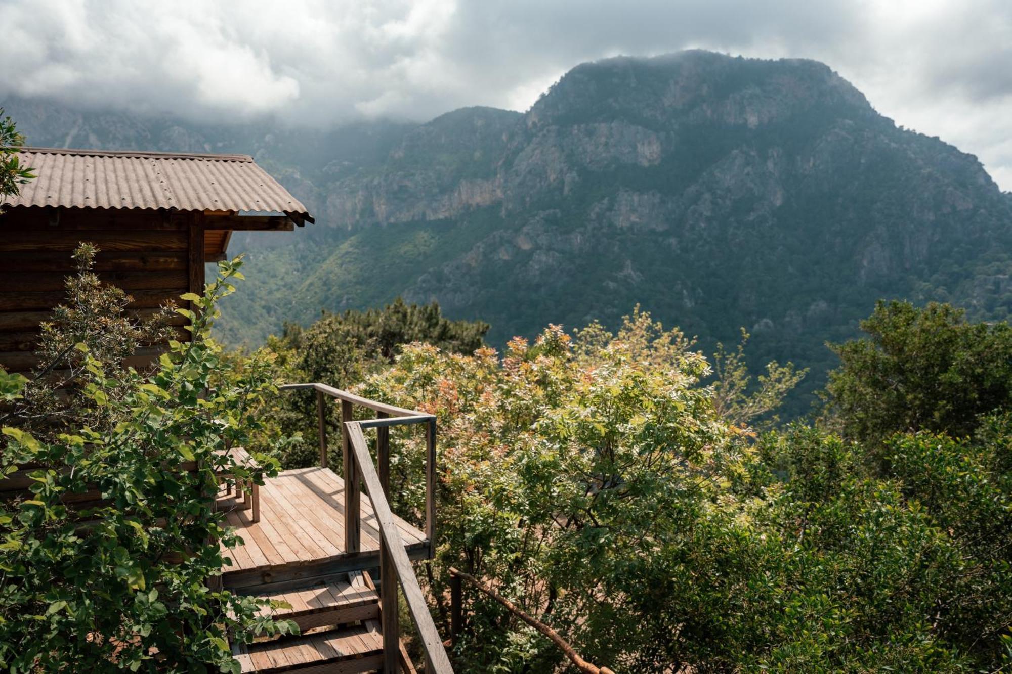 Olive Garden Kabak Hotell Faralya Eksteriør bilde