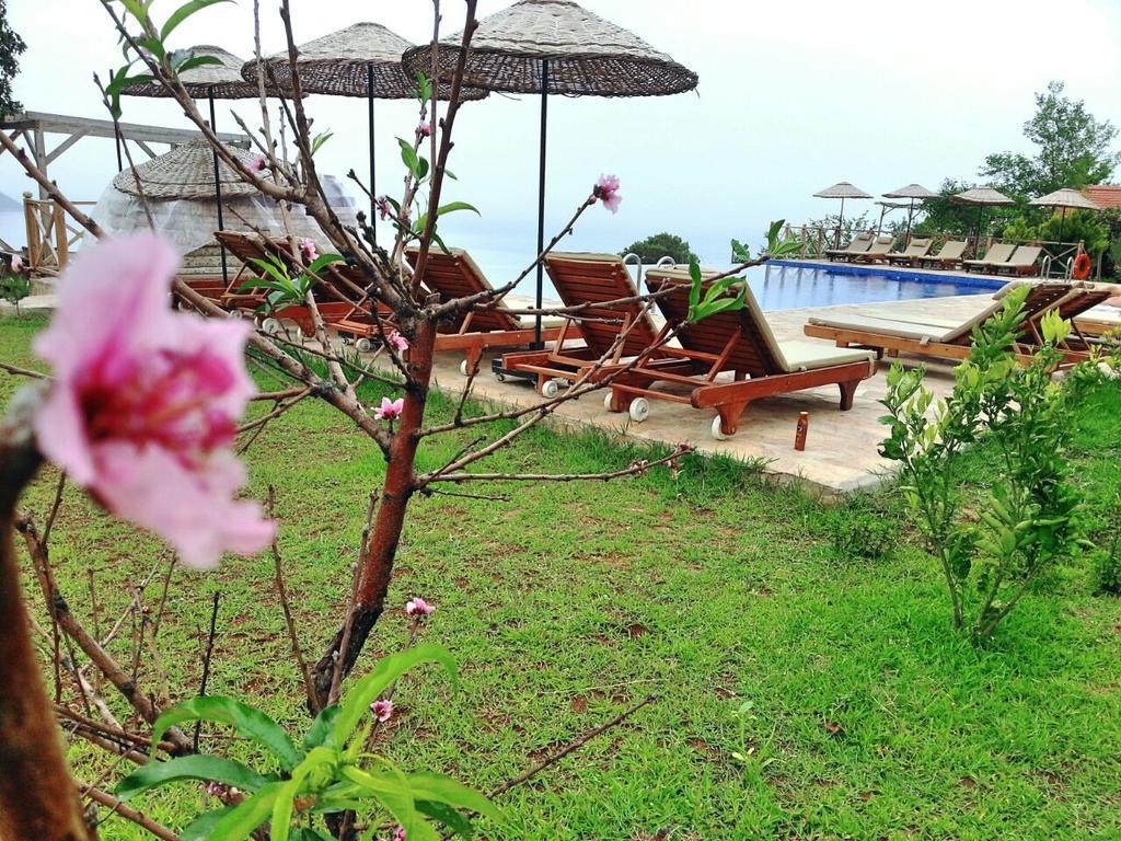Olive Garden Kabak Hotell Faralya Eksteriør bilde