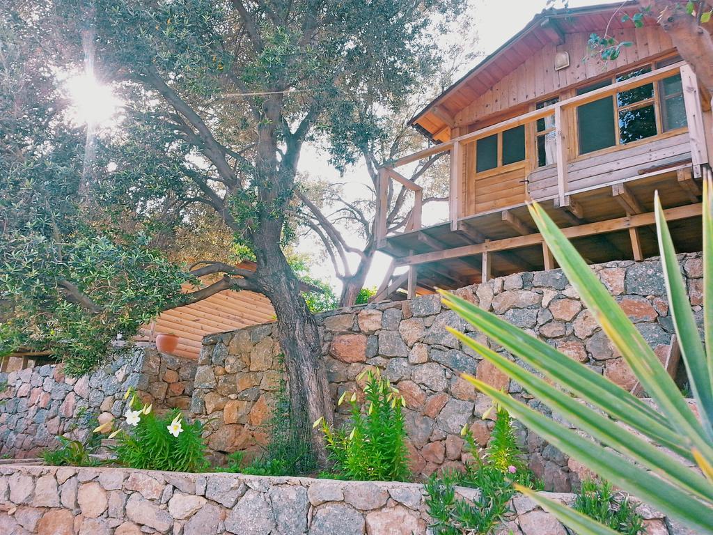 Olive Garden Kabak Hotell Faralya Eksteriør bilde