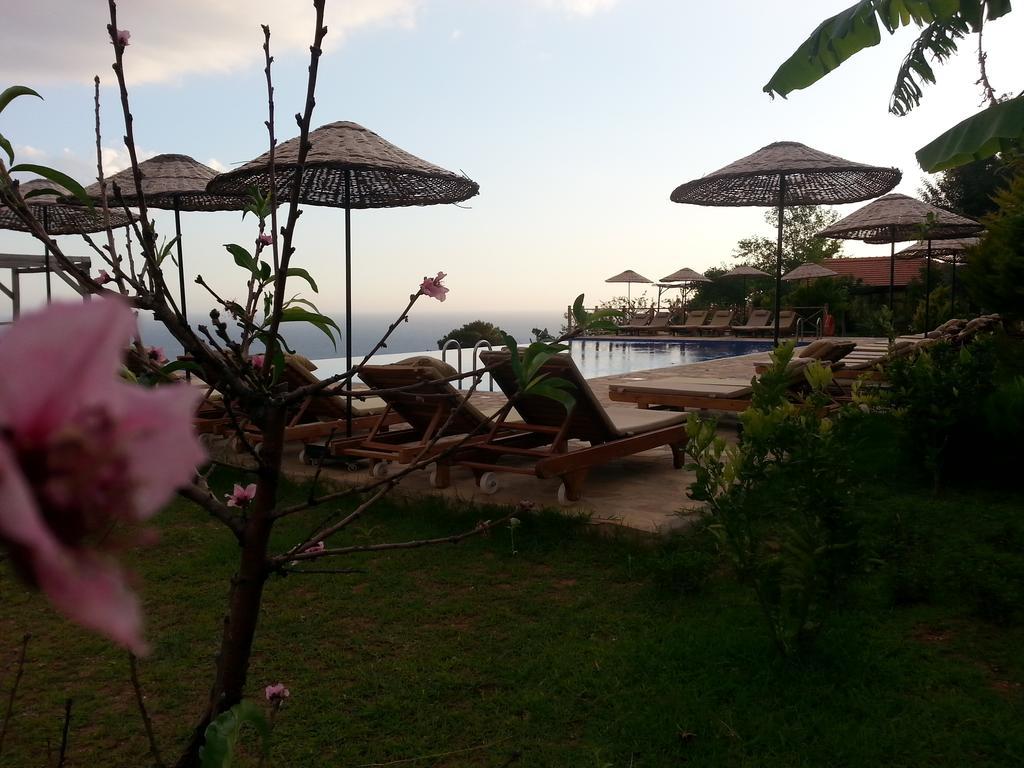 Olive Garden Kabak Hotell Faralya Eksteriør bilde