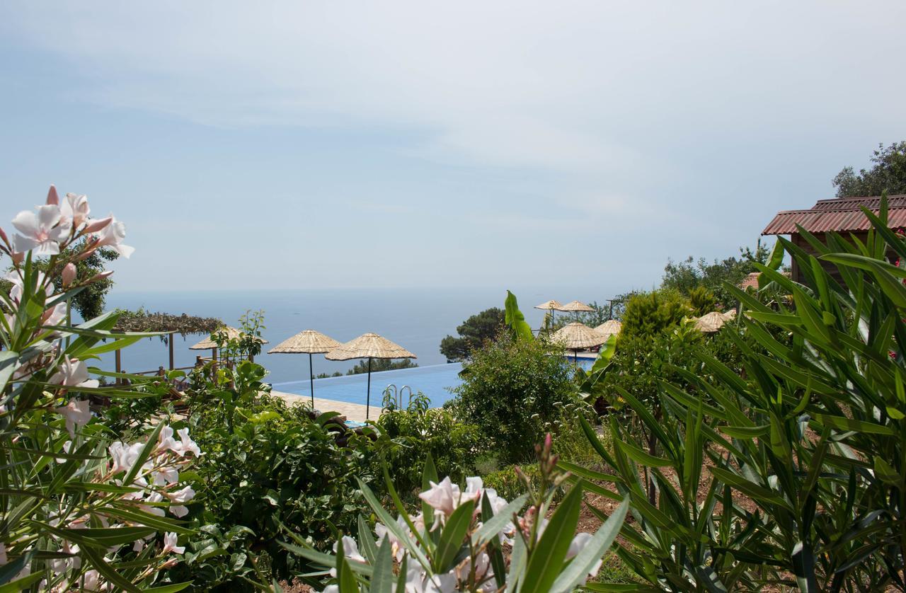 Olive Garden Kabak Hotell Faralya Eksteriør bilde